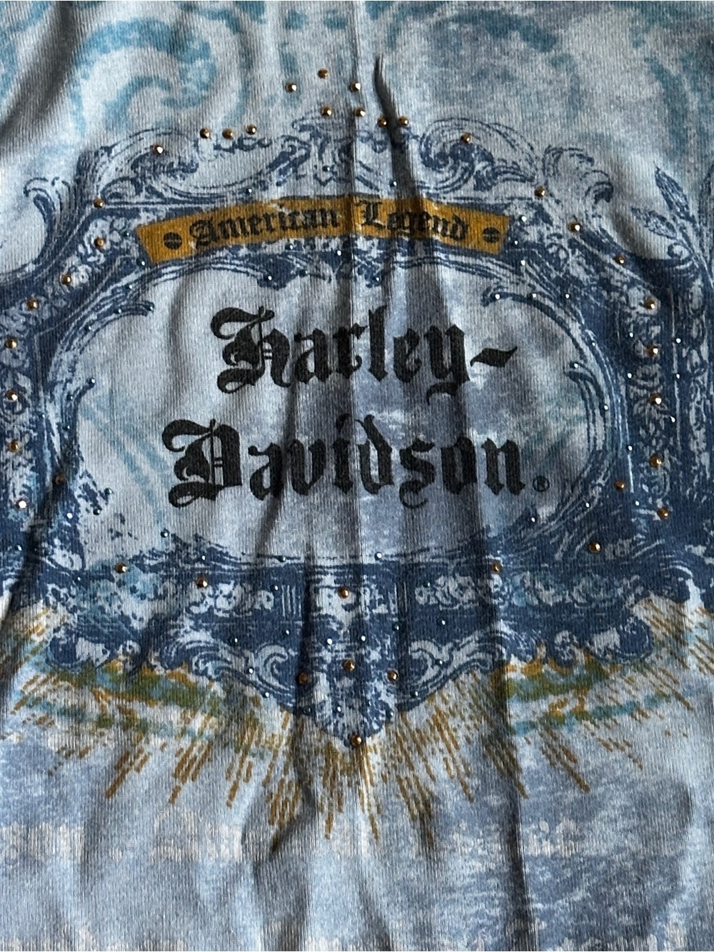 Harley-Davidson Light Blue Graphic Long-Sleeve Tee - Picture 2 of 4